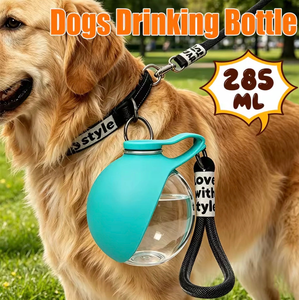PetBottle™ Portable Water Bottle for Dogs & Cats – 304 Stainless Steel | 285ml