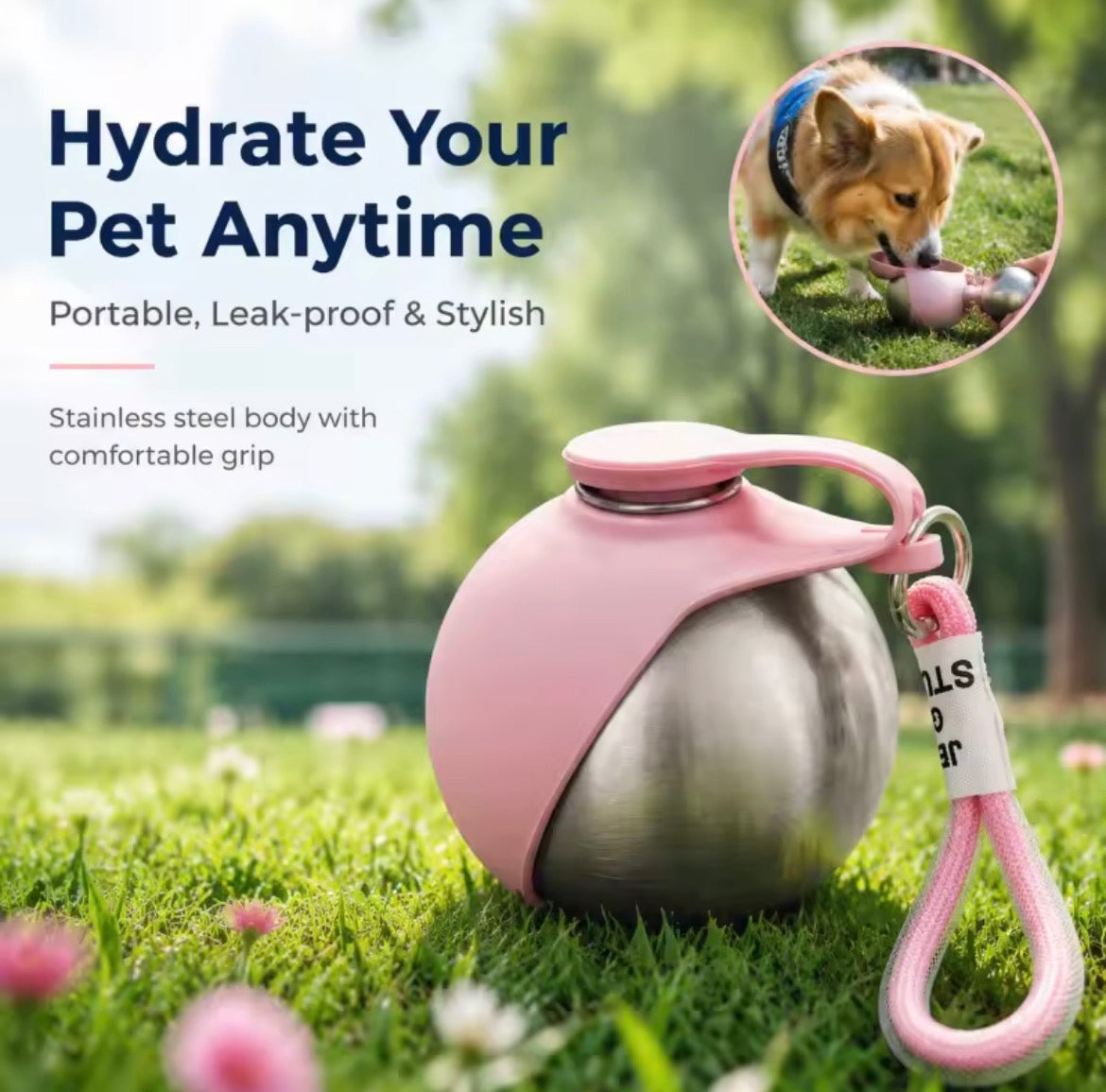 PetBottle™ Portable Water Bottle for Dogs & Cats – 304 Stainless Steel | 285ml